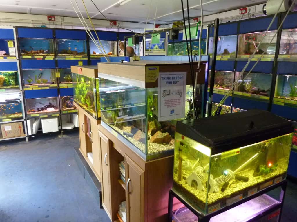 Chenies Fish Tanks
