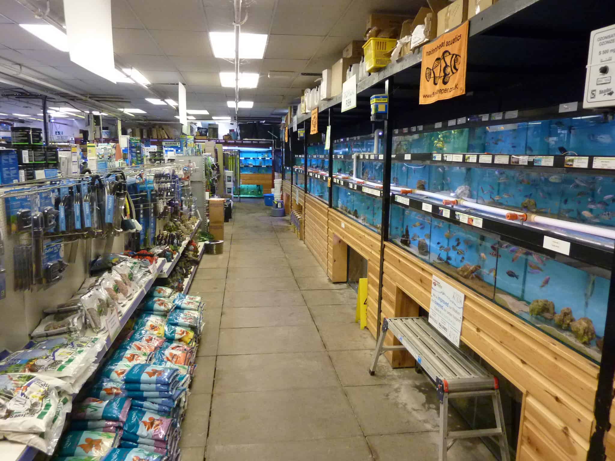 Iver Maidenhead Aquatics Fish Store Review – Tropical Fish Site