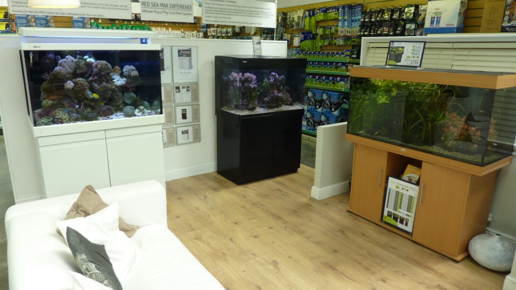 Aquajardin Southampton Display Tanks