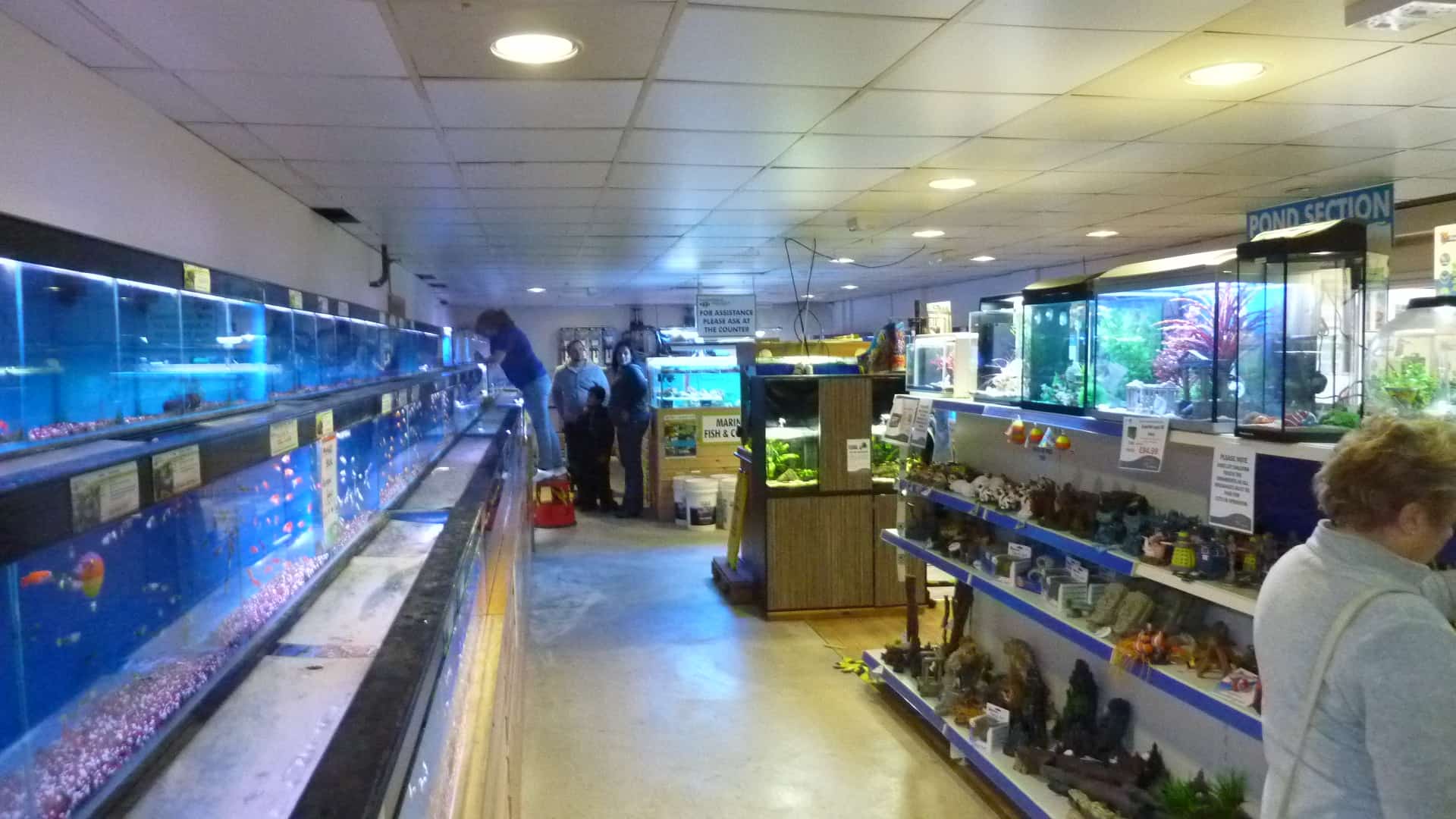 fish store bayport