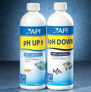 api-ph-up-and-down