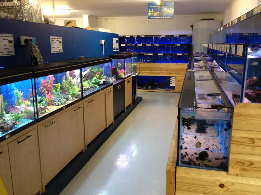 Croydon Maidenhead Aquatics Fish Store Review – Tropical Fish Site