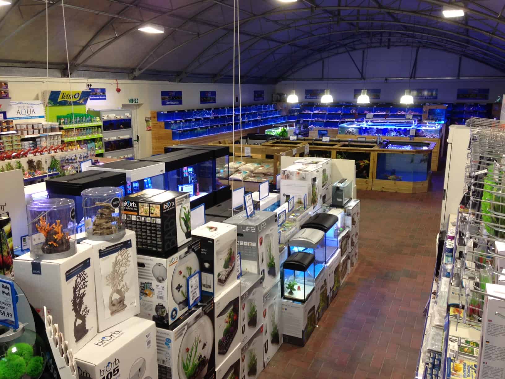 Inverness Maidenhead Aquatics Fish Store Review Tropical Fish Site