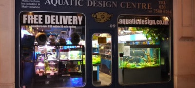 clearwater marine aquarium shop