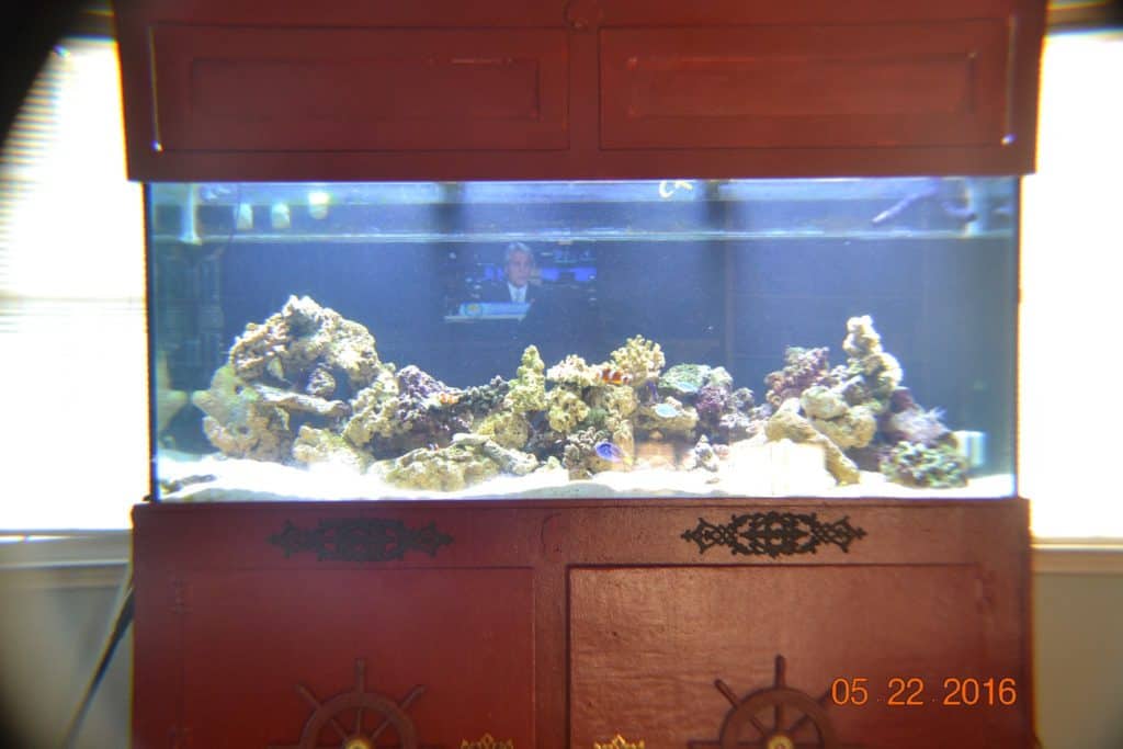 225-reef-aquarium-1