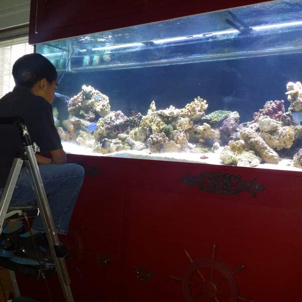 225-reef-aquarium-2