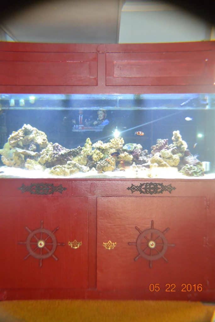 225-reef-aquarium-3