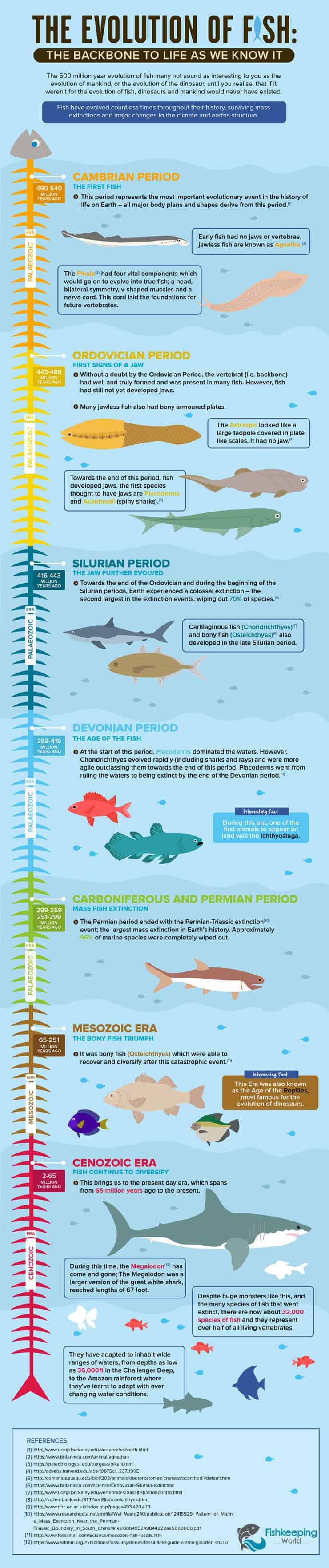 History of Fish Infographic